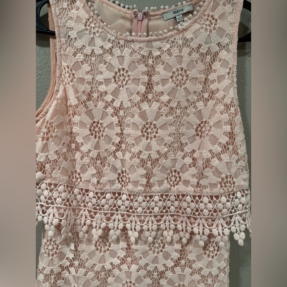 Celesta Pink Lace Detailed Dress Size Small - Picture 3 of 5